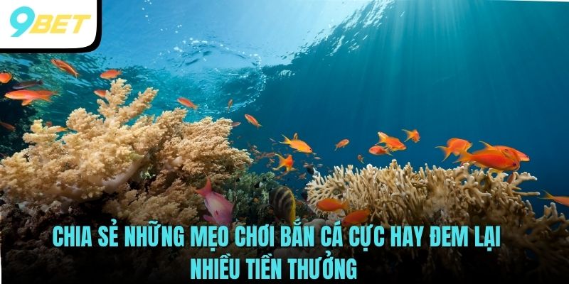 Chia sẻ những mẹo chơi Bắn Cá cực hay đem lại nhiều tiền thưởng 